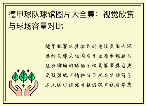德甲球队球馆图片大全集：视觉欣赏与球场容量对比